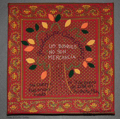 Los Bosques no son mercancía / The forests are not for sale 
